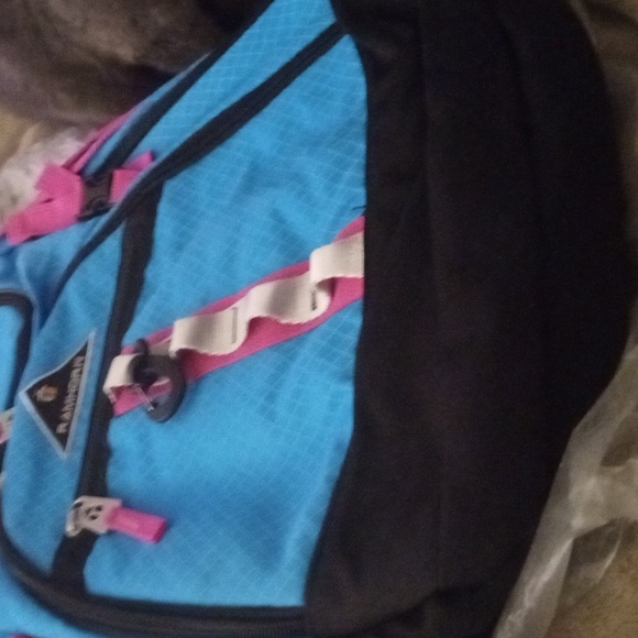 Back pack - Picture 4 of 5